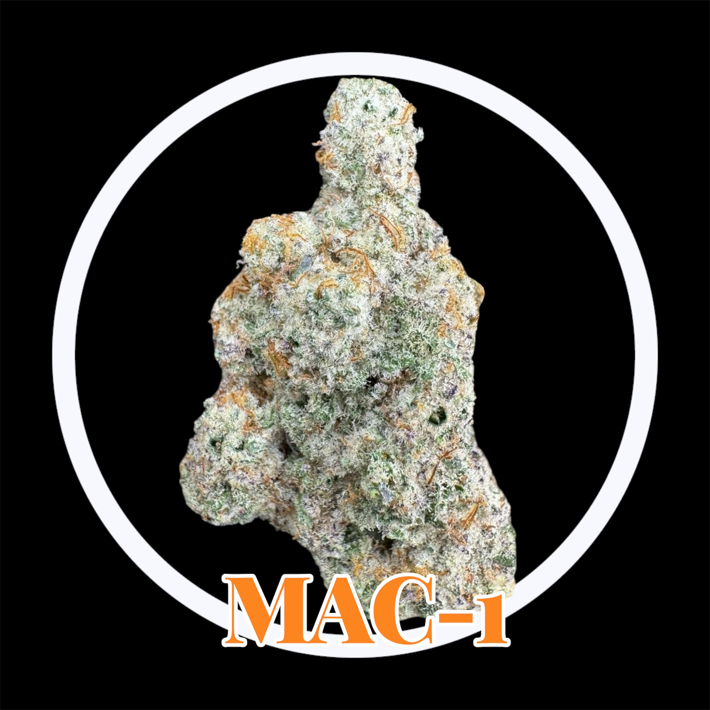 29-11-25 10-55-48pm.jpg